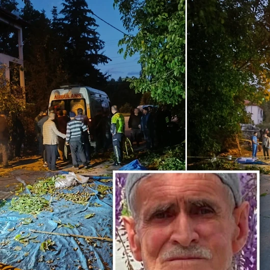 Burdur'da Ceviz Toplarken Düşen 78 Yaşındaki Adam Hayatını Kaybetti