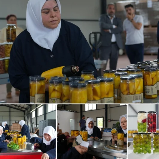 Bursa'da Kadın Elinden Yeni Nesil Turşu Üretimi
