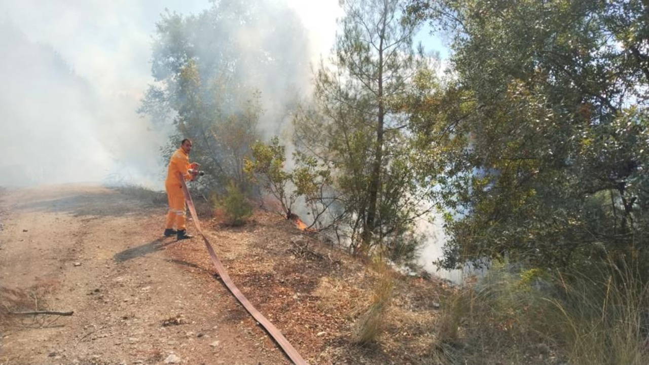 Bursa Keleş'te Orman Yangını: Ekipler Müdahale Ediyor