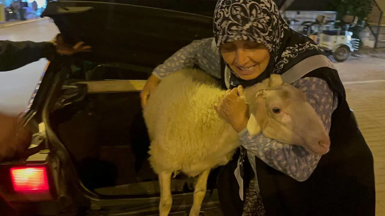 Kurbanlık kuzu 'Çorap'ı bayram arifesinde kaybolduktan sonra sahibine kavuştu