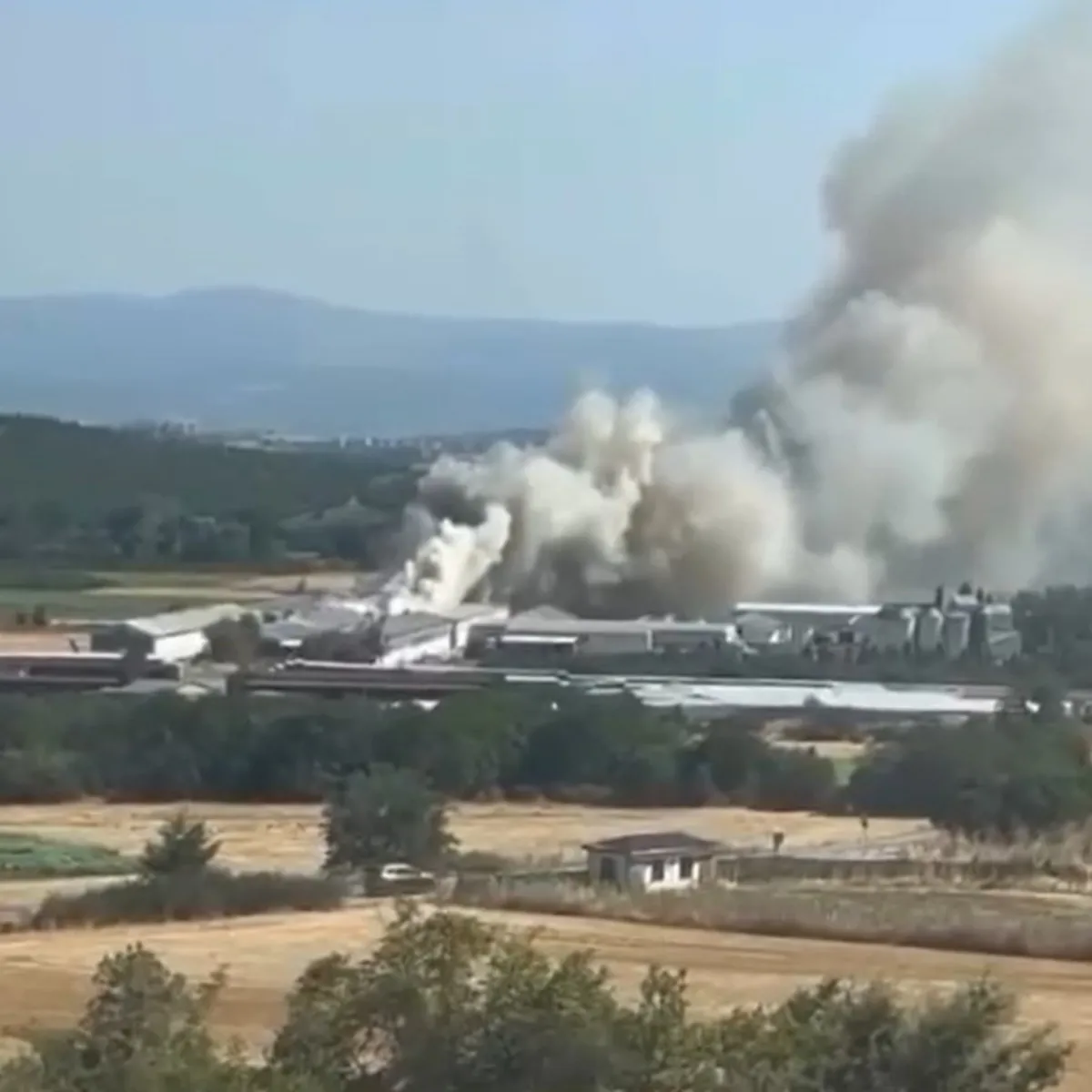 Bursa Mudanya'daki Tavuk Çiftliğinde Yangın: Ekipler Seferber Oldu