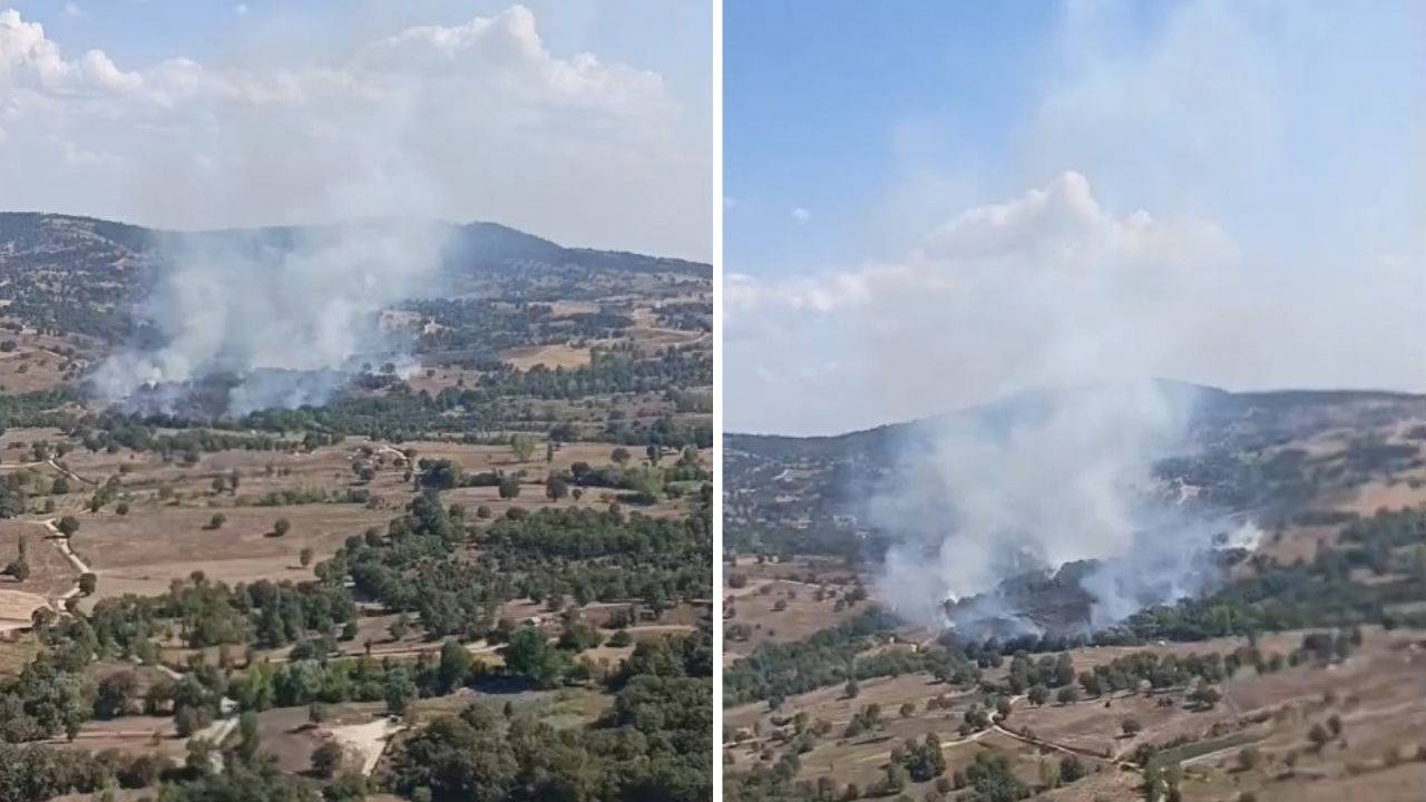 Bursa Orhaneli ve Orhangazi'de Orman Yangını: Alevlere Havadan ve Karadan Müdahale Sürüyor