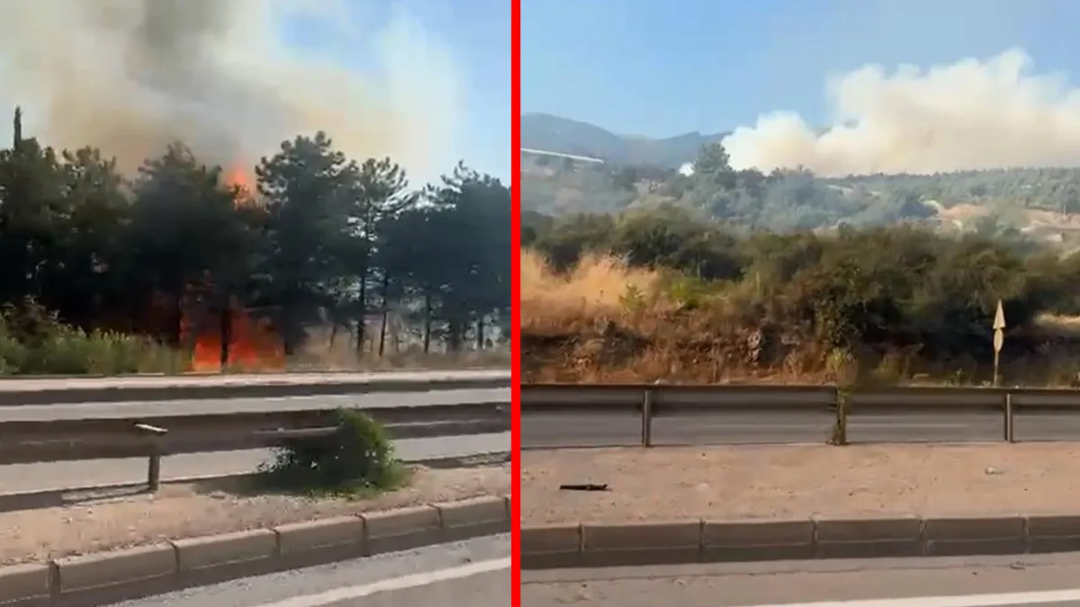 Bursa'da Şiddetli Orman Yangını: Uludağ'ın Eteklerinde Zorlu Mücadele