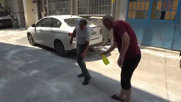 Bursa'da Pire İstilası: Lavanta Yağıyla Çözüm Arıyorlar