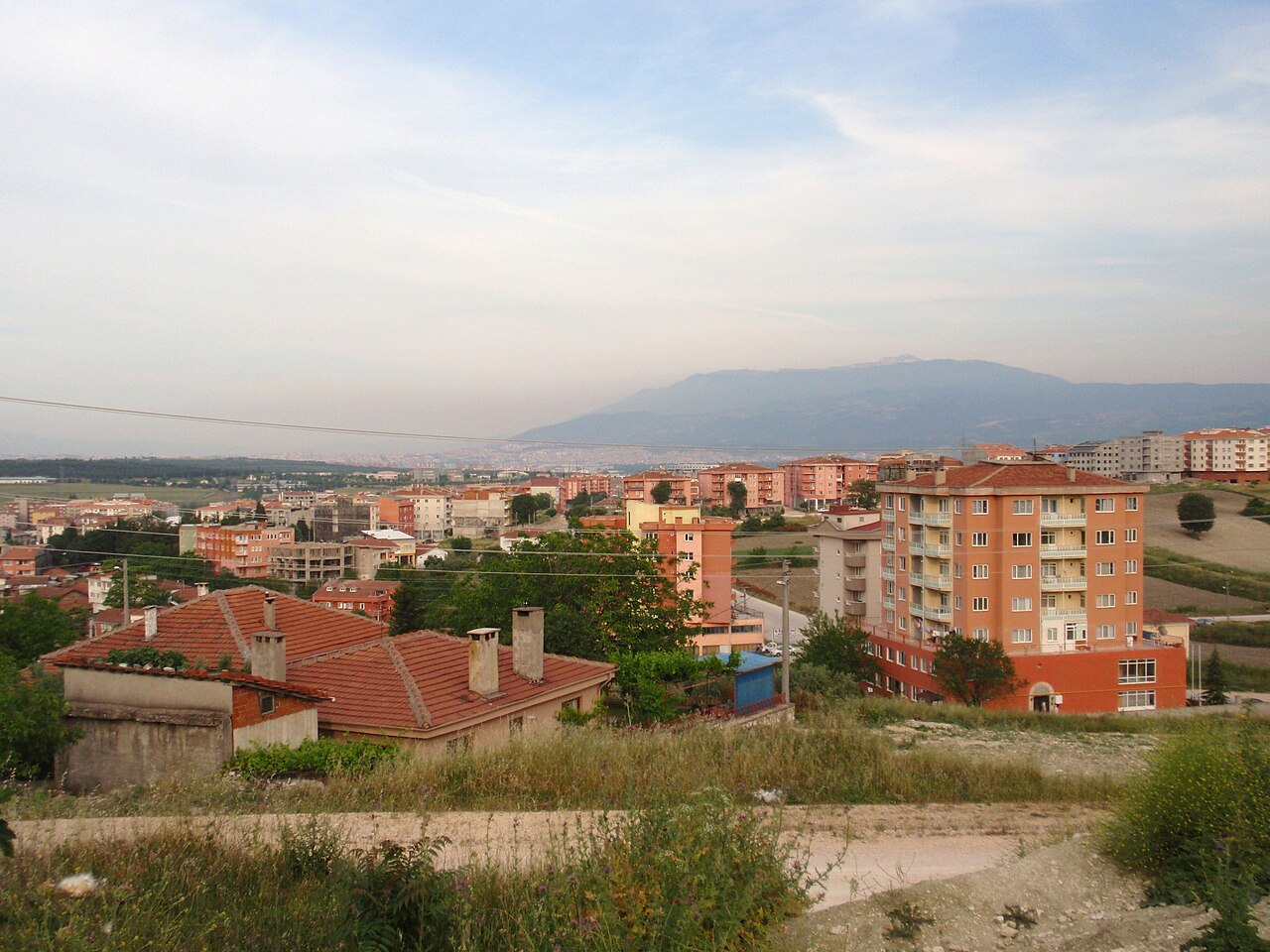 Bursa'da sağlıksız apartman, mahalleliyi pirelerle savaştırdı