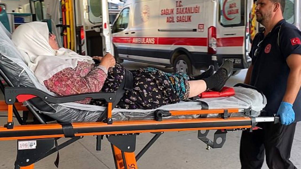 Bursa'da tarım işçisi minibüsü devrildi: 7 yaralı