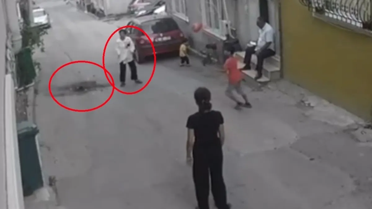 Bursa'da Hayvan Sesleri Uykusuz Bıraktı: Mahalleli Sokağa Döküldü