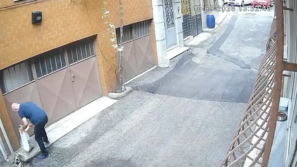 Bursa'da Kedilerin Mama ve Su Kaplarını Çöpe Attılar