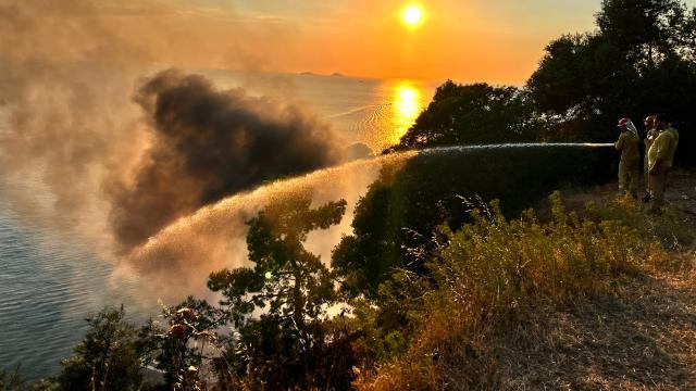 Büyükada'da plaj restoranından ormana sıçrayan yangın kontrol altına alınmaya çalışılıyor