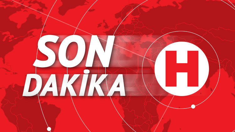 Büyükada'da plajda yangın paniği: İtfaiye sevk edildi