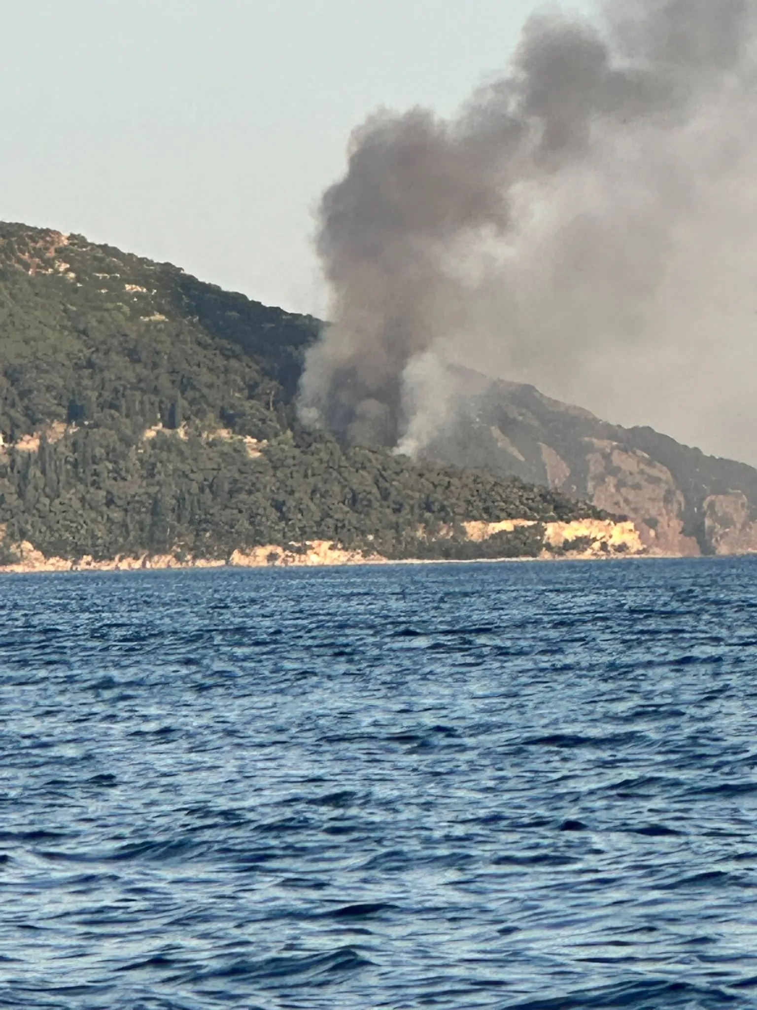 Büyükada Viranbağ Plajı'nda yangın paniği
