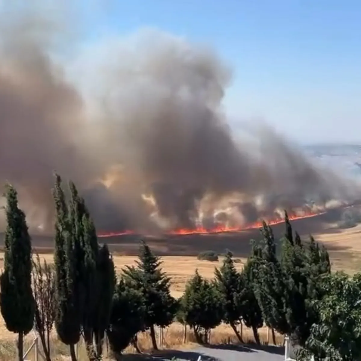 Büyükçekmece Çakmaklı'da Buğday Tarlasında Yangın Panigi