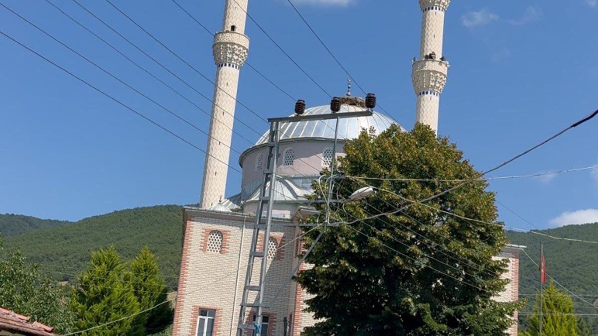 Köy Camiinde Zeki Müren Sürprizi: Anons Sistemi Karıştı, Muhtar Duyuruyu Müzikle Yaptı
