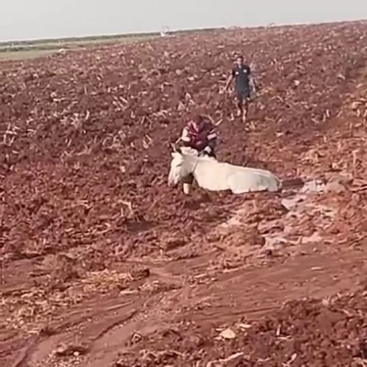 Çamura saplanan eşeği itfaiye kurtardı