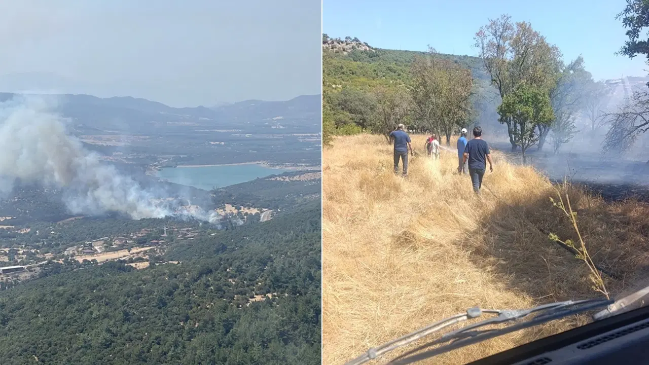 Çanakkale Ayvacık'ta Tarım Arazisi ve Meralık Alanda Yangın