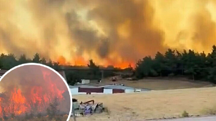 Çanakkale Bayramiç'te Orman Yangını: Ekipler Seferber Oldu
