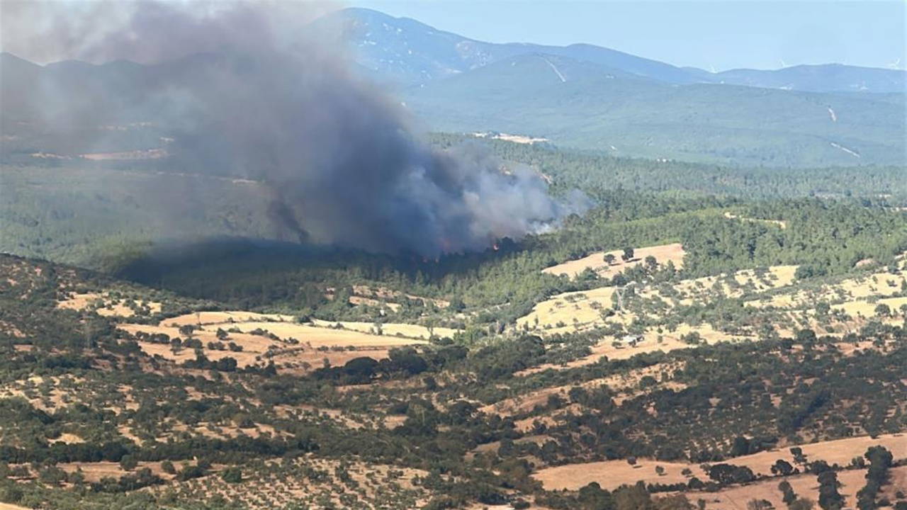 Çanakkale Bayramiç'teki Orman Yangını Büyük Ölçüde Kontrol Altına Alındı