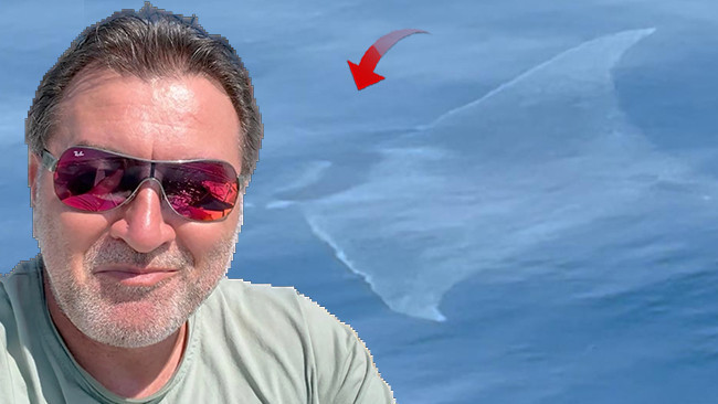 Çanakkale'de 2 metrelik şeytan mantası görüldü: 'O bizi, biz onu izledik
