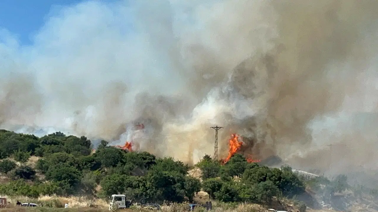 Çanakkale Ezine'de bozuk ormanda yangın: Havadan ve karadan müdahale sürüyor