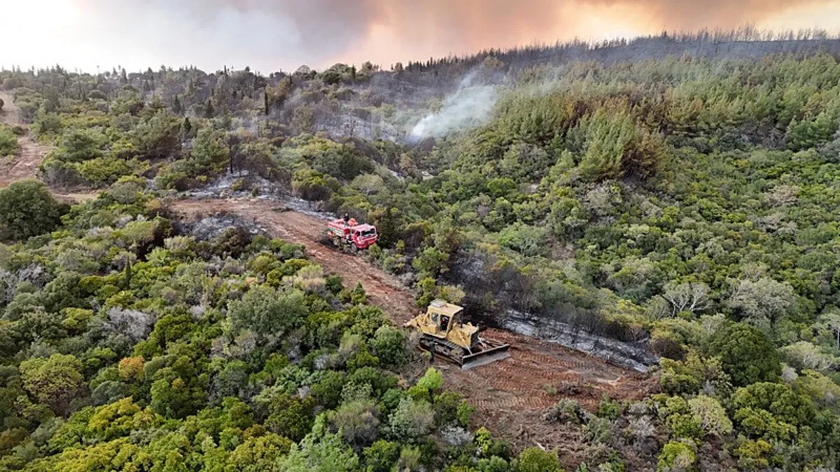 Çanakkale'de ormana giriş yasağı başladı