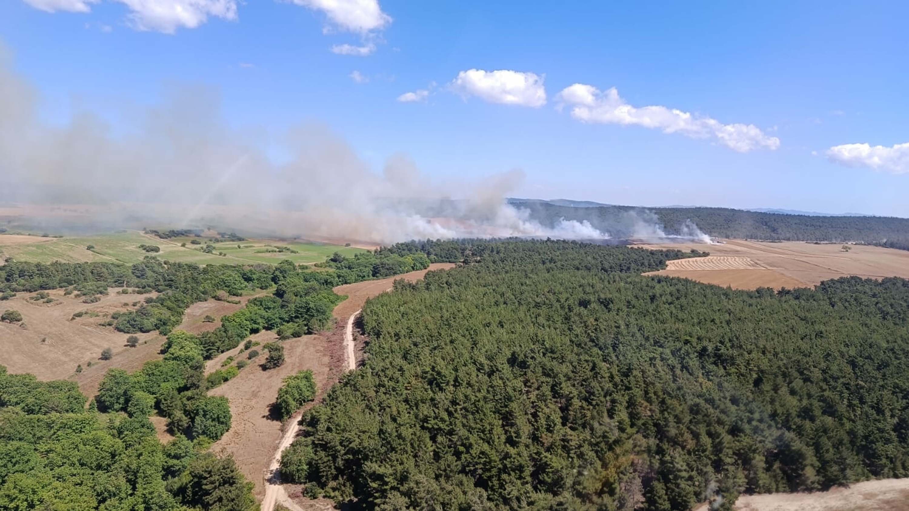 Çanakkale'de orman yangını tarım arazisinden sıçradı: Alevler büyüyor