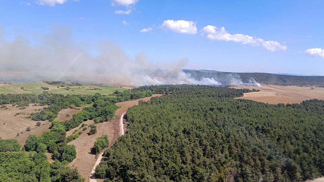Çanakkale'de orman yangını: Eceabat'ta alevler havadan ve karadan kontrol altına alınmaya çalışılıyor