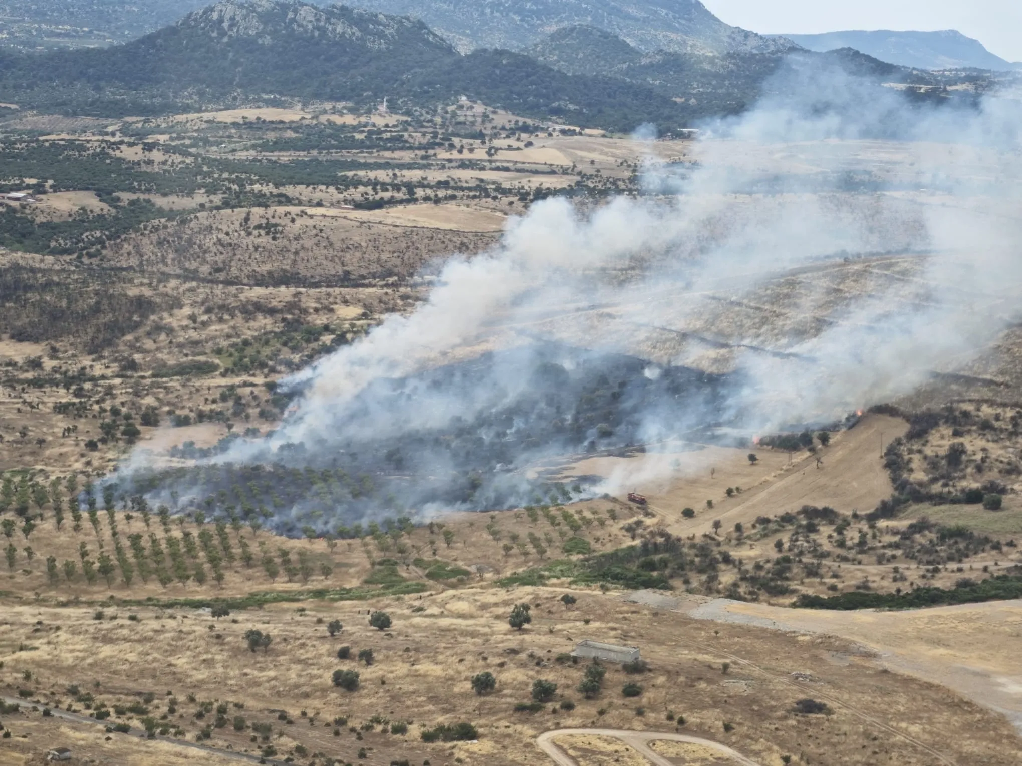 Çanakkale'de orman yangını: Ekipler havadan ve karadan müdahale ediyor