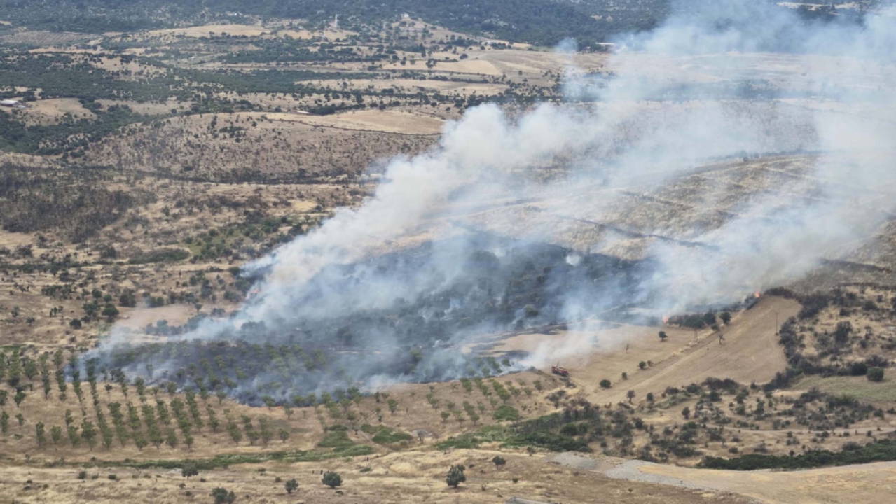 Çanakkale'deki orman yangını 1 saatte kontrol altına alındı