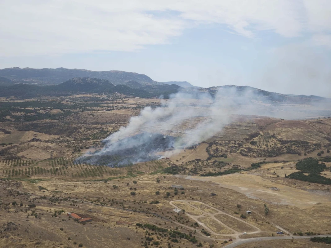 Çanakkale'de orman yangını kontrol altına alındı