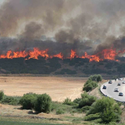Çanakkale'de Orman Yangını Riski: 3 Gün Boyunca Ateş ve Alevli Faaliyetler Yasaklandı