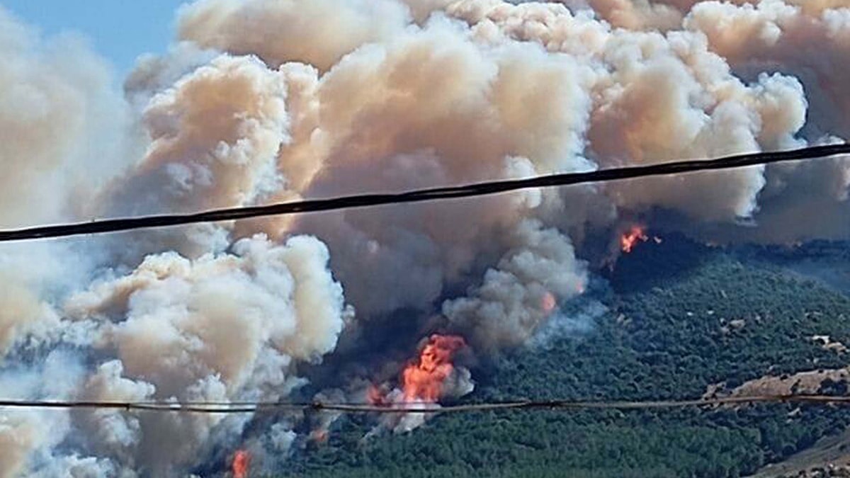 Çanakkale'de Orman Yangını: Alevlere Havadan ve Karadan Müdahale