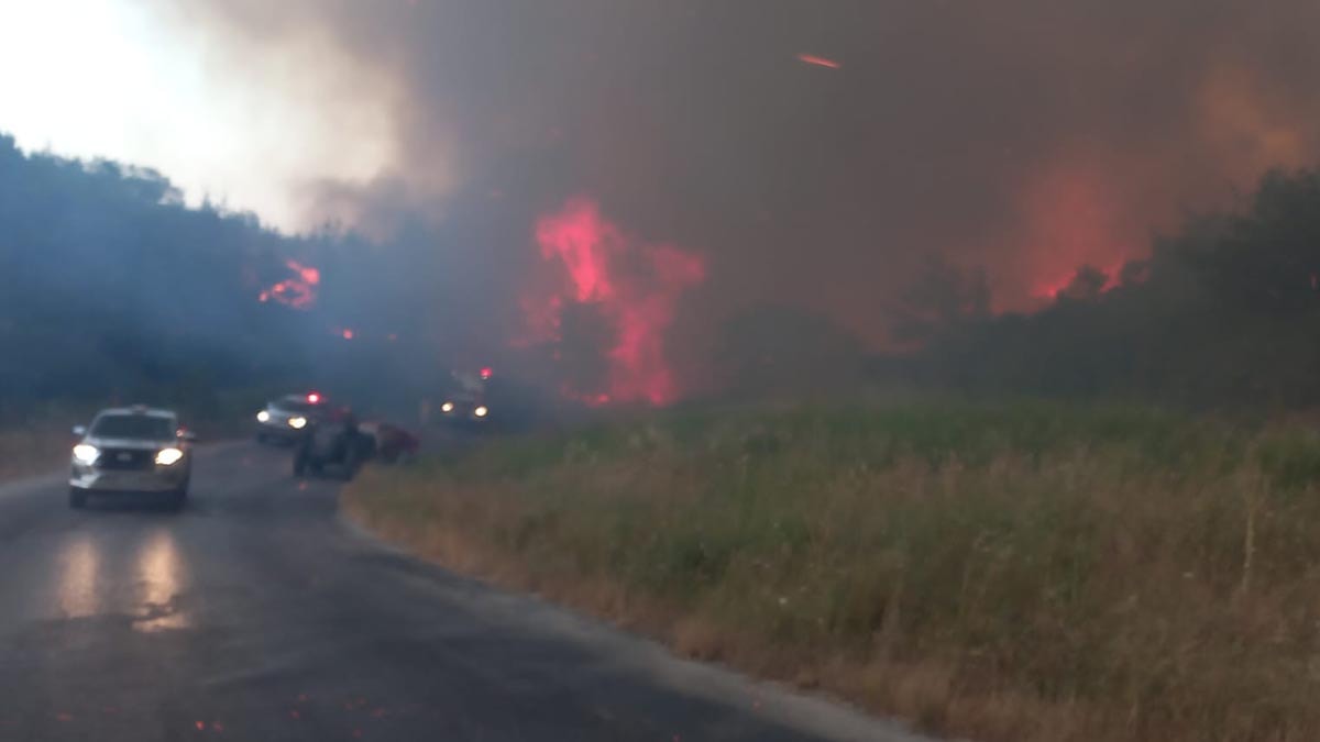 Çanakkale'de Otluk Yangını Ormana Sıçradı: Kontrol Çalışmaları Sürüyor
