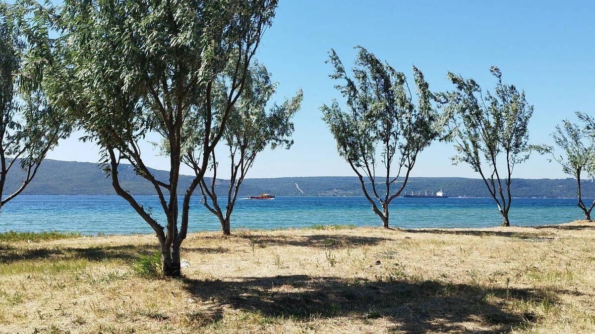 Çanakkale'de Sahilde Mühimmat Bulundu