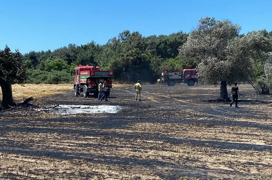Çanakkale'de tarım arazisinde yangın: Ekipler seferber oldu