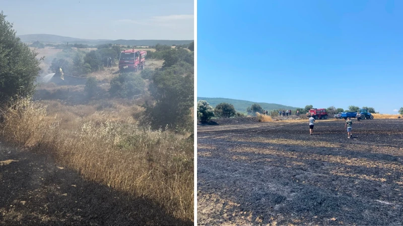 Çanakkale'de tarım arazisinde yangın: Ekipler müdahale etti