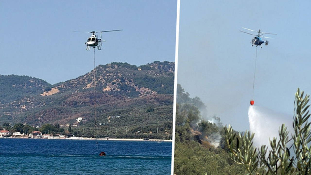 Çanakkale'de Zeytinlik Yangını: Ekipler Müdahale Ediyor