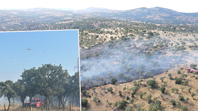 Çanakkale'de Zirai Yangına Havadan ve Karadan Müdahale Sürüyor