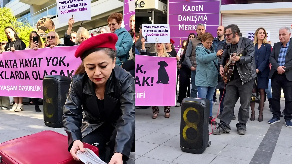 Çankaya'da Sokak Köpekleri Provokasyonu: "Havla" Diye Bağırıp Mama Serptiler