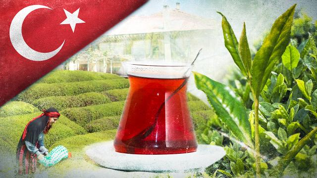 Çay İhracatı 9 Ayda 25 Milyon Doları Aştı