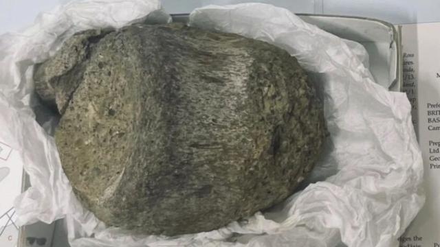 Çekmecede Unutulan Fosil Antarktika'nın İlk Dinozoru Çıktı