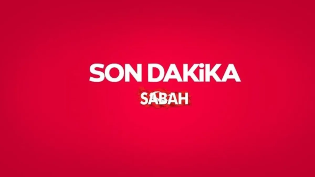 Çerçeve Yasa Resmi Gazete'de: Erdoğan Süreci Titizlikle Yönetecek