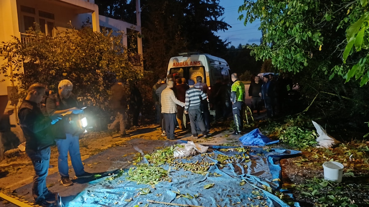 Ceviz Toplamak İçin Çıktığı Ağaçtan Düşen 78'lik Ramazan Kalyon Hayatını Kaybetti