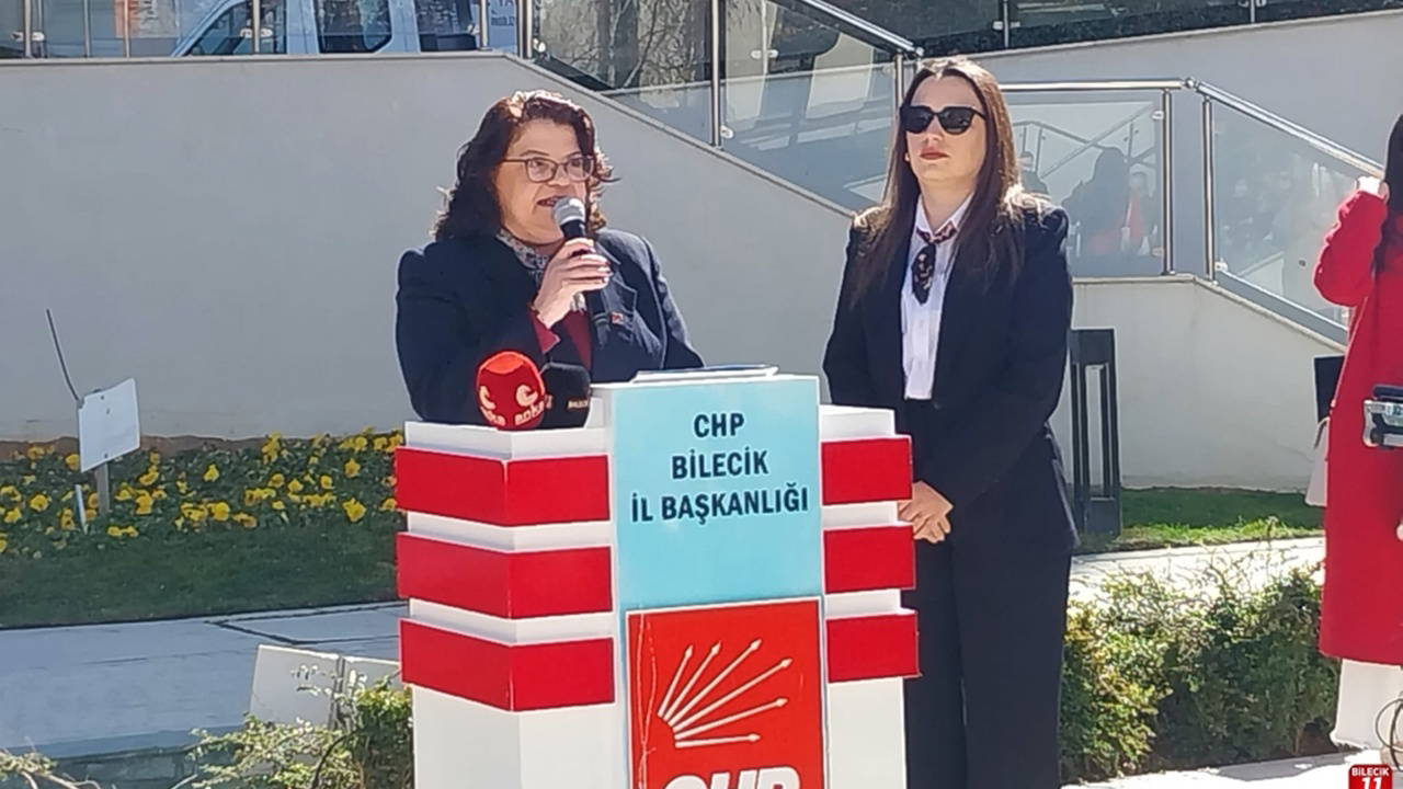 CHP Bilecik'te Kadın Kolları Başkanı da Görevden Alındı