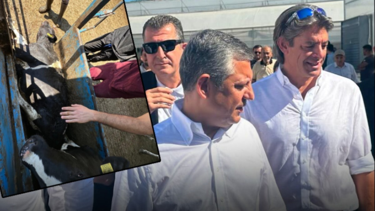 CHP'nin gölge tarım bakanının çiftlik sertifikası iptal edildi
