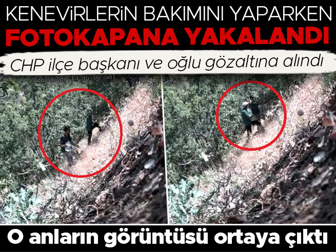 CHP İlçe Başkanı ve Oğlu Kenevir Tarlasında Fotokapana Yakalandı