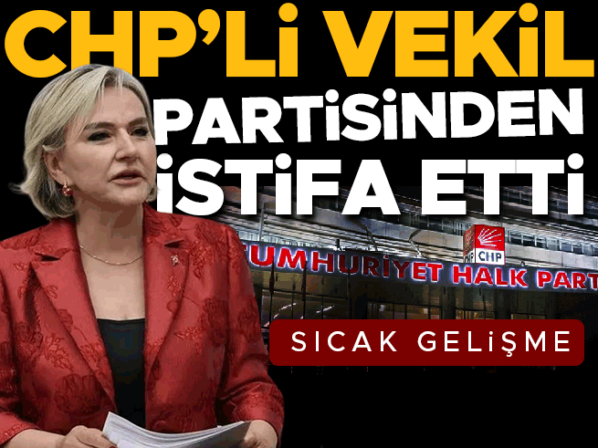CHP İstanbul Milletvekili Nimet Özdemir istifa etti