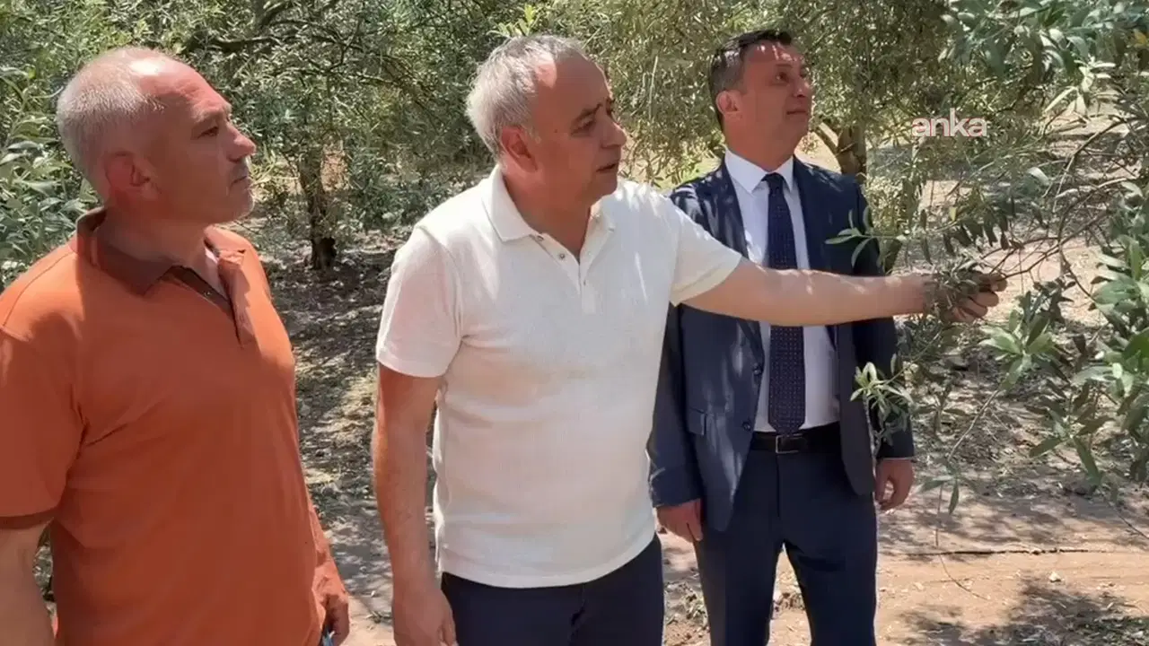 CHP'li Bakırlıoğlu'ndan Akhisar'da dolu zararına acil destek talebi