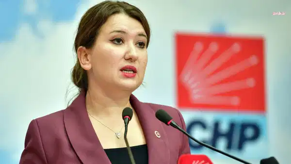CHP'li Gökçen'den NATO'ya: Gazetecilere Engelleme Olmasın