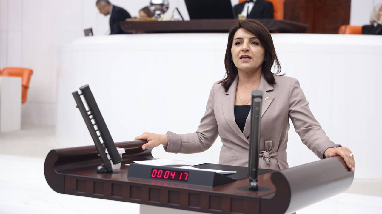 CHP'li Kış'tan iktidara ara zam çağrısı