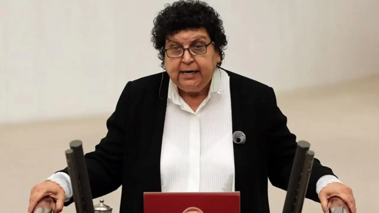 CHP'li Şenal Sarıhan: Görevden Alınmam Demokrasi Madalyası